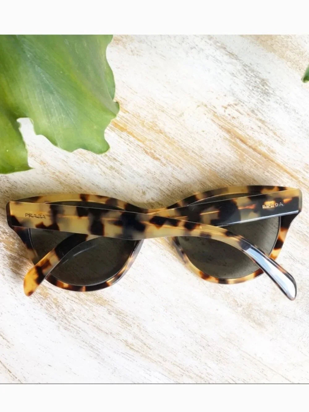Prada Cat Eye Glasses in Havana Tortoise Shell
